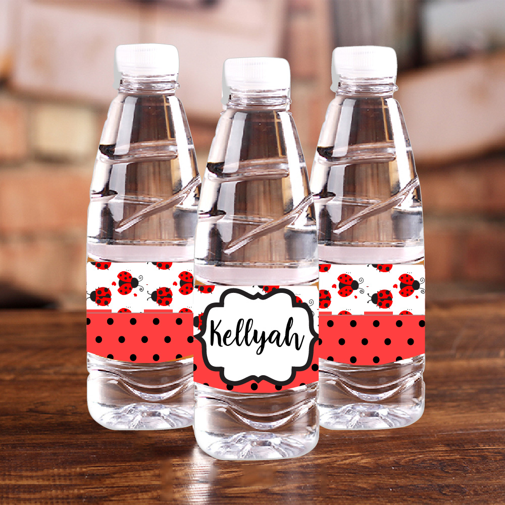 Coccinella personalizzata Bott - Baby Food Grinder recensione e prezzo